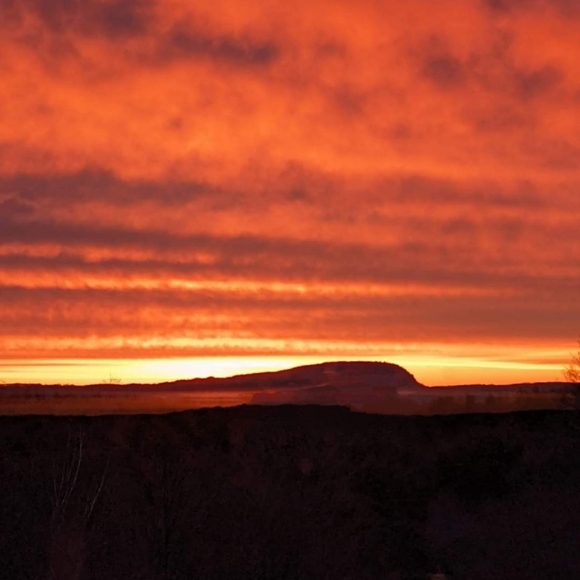 Meet your Posher, Jane - Picture 2 of 4